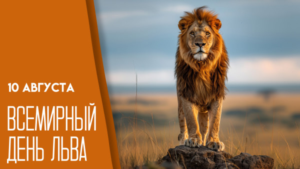 10 августа — Всемирный день льва: расскажем, как провести праздник