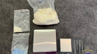 Под Самарой задержали наркодилера с полкило белого порошка и синих кристаллов