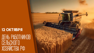 День работников сельского хозяйства РФ: история, традиции и достижения специалистов АПК