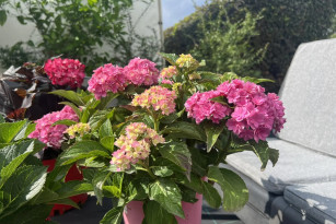 В Самарскую область вернется зной и пекло до +32°C