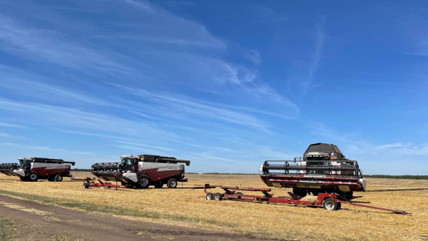 Самарские аграрии смогут экспортировать пшеницу и кукурузу по ставке 0 процентов