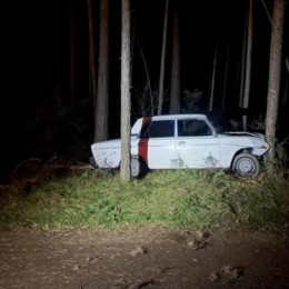 В Самаре пьяный водитель ВАЗ-2106 врезался в дерево на ул. Прибрежной