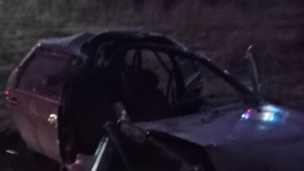 Под Самарой легковушка сбила лося и вылетела в кювет 2 декабря 