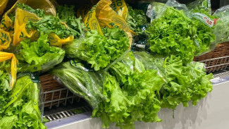 Самарский врач Рябова рассказала о главных причинах бесплодия