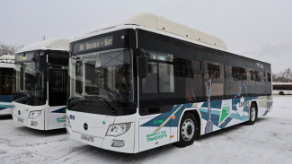 Новые автобусы начали работу на шести самарских маршрутах