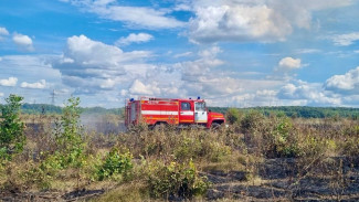 Под Самарой тушили 50 га леса: хроника большого пожара