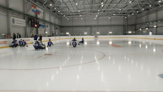 Сборная Самарской области принимает участие в Межрегиональном детском турнире по адаптивному хоккею «Хоккей для всех»