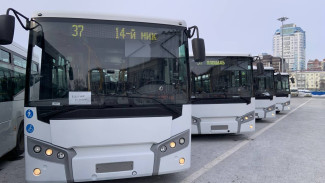 На маршрут № 37 в Самаре вышли 20 новых автобусов