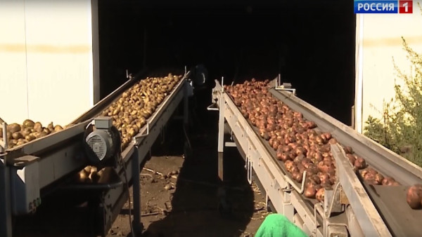 Достижения самарских аграриев отмечены на федеральном уровне 