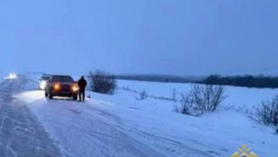 В Самарской области водитель кроссовера насмерть сбил косулю