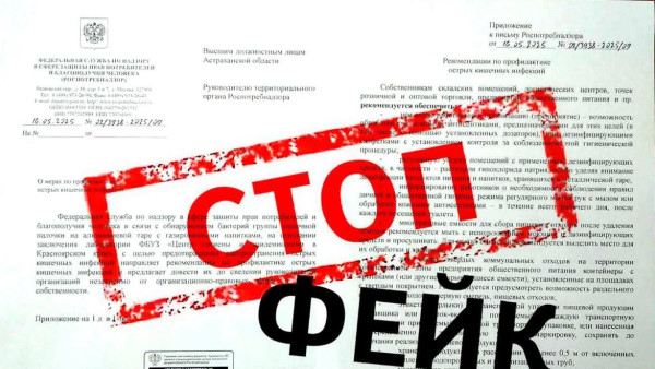 В Роспотребнадзоре предупредили об обмане в рассылке писем о распространении кишечной инфекции