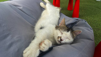 Что бы выбрали жители Самары, если бы не работа и деньги