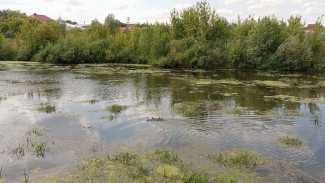 В Самарской области очистят реки и озёра в ближайшие 5 лет