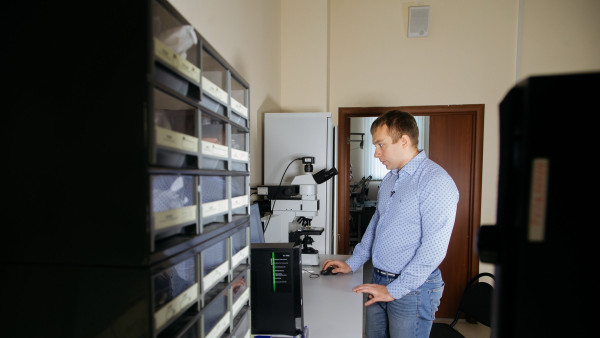 Самарские ученые разрабатывают метод быстрой диагностики рака простаты