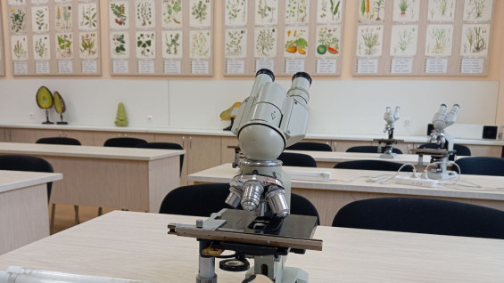 Многодетные семьи Самарской области получат 216 миллионов рублей на компенсацию за обучение