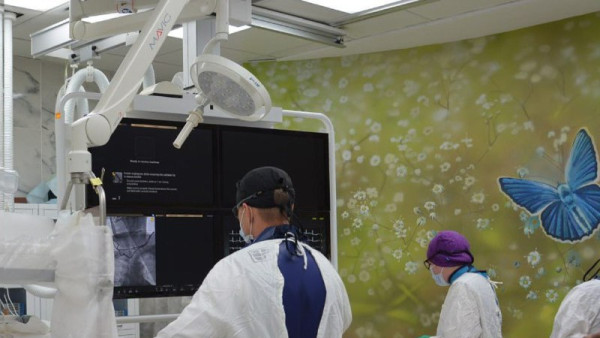 Самарские врачи освоили уникальный метод лечения ишемической болезни сердца