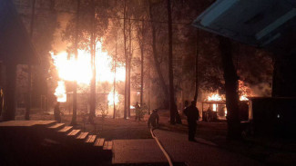 Под Самарой ночью загорелась турбаза «Лесные тропы»