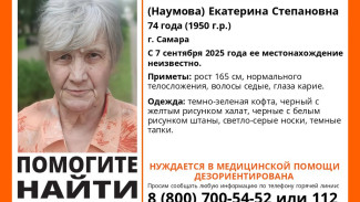 Черный с желтым рисунком халат, темно-зеленая кофта: в Самаре ищут 74 летнюю женщину