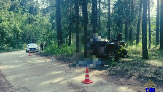 В Самарской области квадроциклист и его пассажир погибли врезавшись в дерево 25 июля 