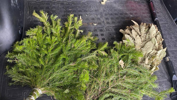 В Самаре популярные городские бани резко подняли цены