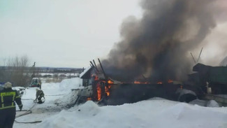 В Самарской области 25 февраля загорелись надворные постройки