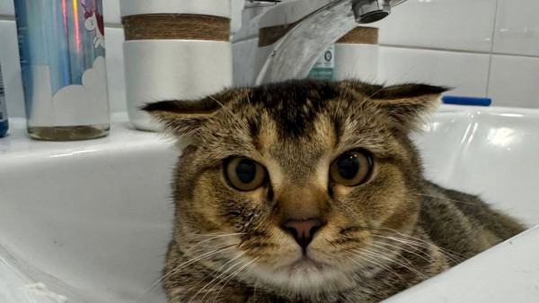 Самарцам рассказали, где в течение следующей недели отключат воду из-за ремонтных работ