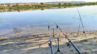 Самарцев предупредили о запрете рыбалки в апреле 2026 года