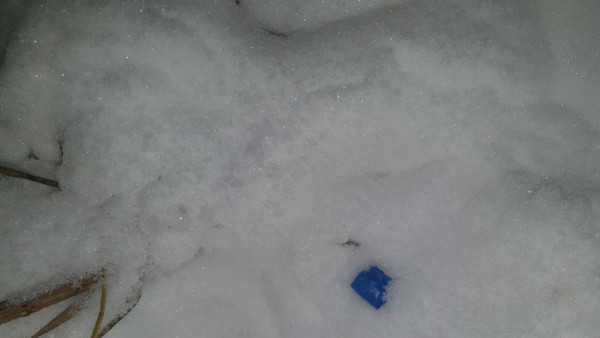 В Самарской области поймали молодых наркоторговцев 