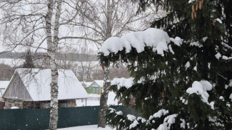 В Самарской области ввели карантин из-за очага смертельно опасного заболевания