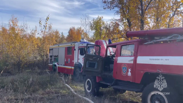 В Тольятти ликвидировали лесной пожар