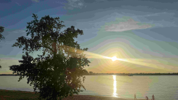 На пляжи Самары завезли чистый песок к началу купального сезона