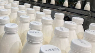 Власти Самарской области прокомментировали ситуацию с плесневелой молочной продукцией в школах и больницах
