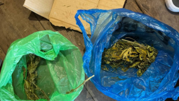 В Самарской области мужчина прятал дома марихуану