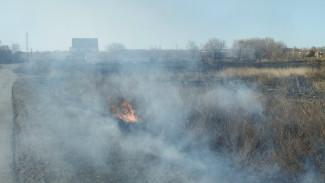 12 возгораний за сутки: в Самарской области начинается сезон природных пожаров 