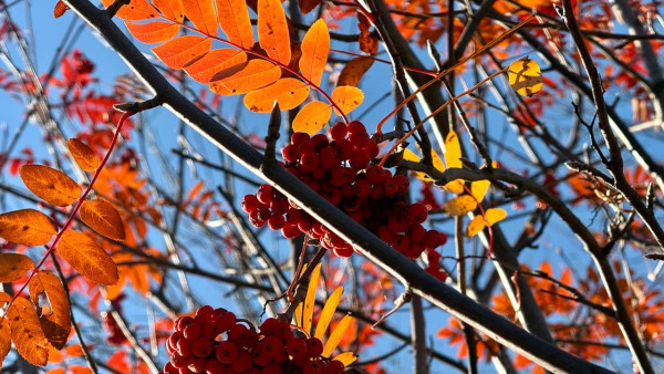 Самарцам рассказали, как не впасть в осеннюю хандру