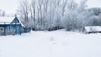 В 25 км от Самары обнаружили очаг смертельно опасного заболевания