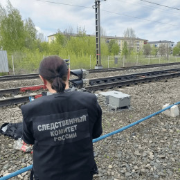 В Самарской области житель 2014 года рождения попал под электричку