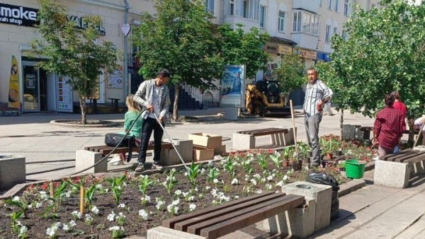 В Самаре на Ленинградской заменили погибшие цветы