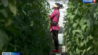 В Самарской области подвели итоги национального проекта «Эффективная и конкурентная экономика» за 2025 год