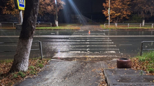 В Самарской области за сутки сбили двух пешеходов на "зебре"