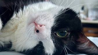 Народные приметы 25 февраля: не делайте в день Алексея Рыбного, чтобы не накликать беду 