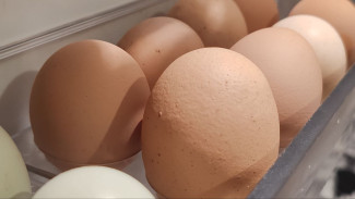 Роспотребнадзор предупредил самарцев об опасных яйцах
