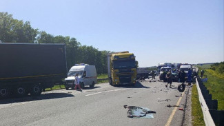 Под Самарой в ДТП с фурой Mercedes и Ford Focus погибла учительница из Уфы