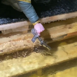 В Самаре состоялись массовые Крещенские купания 2026: фоторепортаж с Полевого спуска