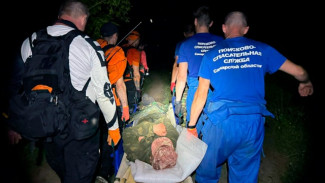 Под Самарой спасли потерявшегося в лесу грибника