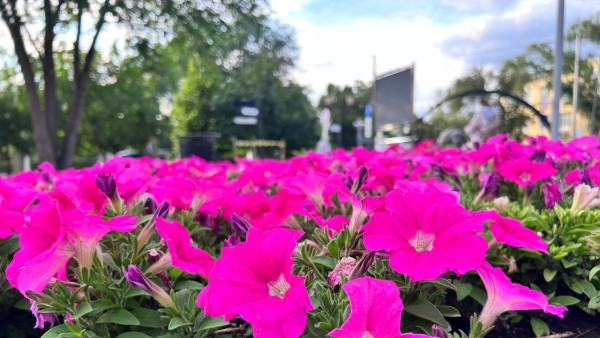 На Самарскую область обрушится жара с 10 по 12 июля