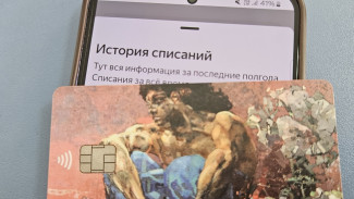 Самарцев предупредили о новой схеме мошенников в канун Нового года