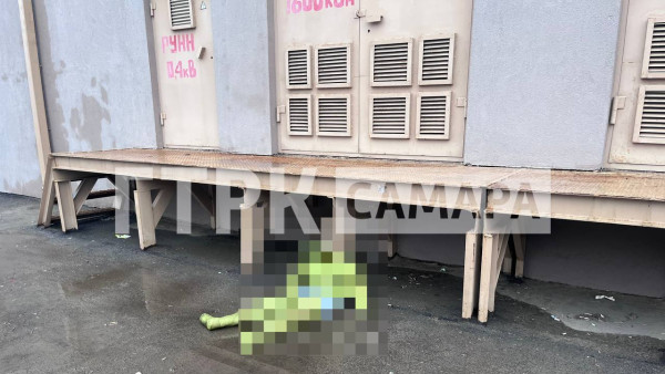 Жители Самары нашли на детской площадке уставшего зеленого Шрека