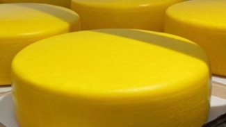 Самарский сыровар Надежда Красненко произвела 50 видов сыра на своей ферме