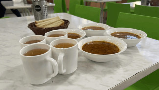 В Самаре сменили поставщиков школьного питания после жалоб родителей